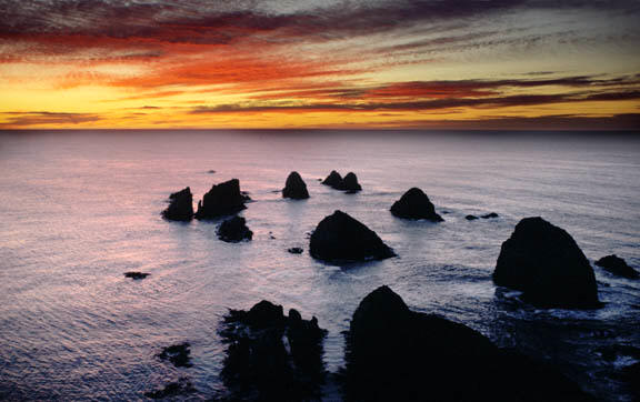 Nugget Point, Catlins